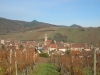 ALSACE 2013 031