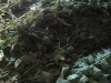IMG_20250602_152130