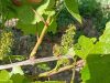 IMG_20250602_152717