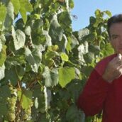 H. Marionnet favorable à une fête mondiale du vin