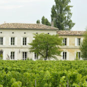 Château Grand Corbin Despagne