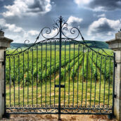 Château Beauséjour Duffau Lagarosse