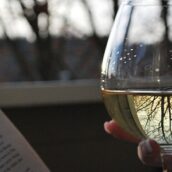 Le vocabulaire du vin
