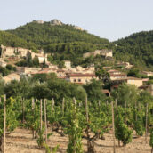 Le Gigondas