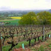 Weekend oenotouristique à Jasnières et Coteaux du Loir