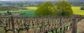 Weekend oenotouristique à Jasnières et Coteaux du Loir