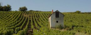 Jasnières et Coteaux du Loir
