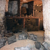 Dégustation Jasnières et Coteaux du Vendomois