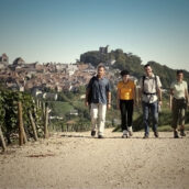 Week-end oenotouristique dans les vignes
