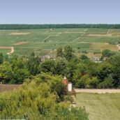 Focus sur l’appelation Ladoix