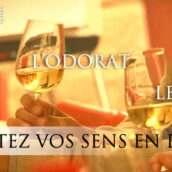 Initiation à la dégustation le 15 février