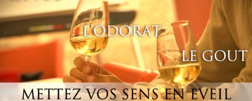 Initiation les arômes parfumés du vin le 10 février