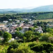 Dégustation Languedoc