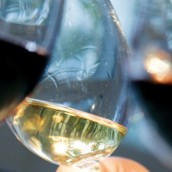 Les règles d’or pour servir le vin pendant les fêtes