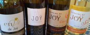 Dégustation Winestory 26 novembre 2016