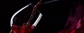 Vinification vin rouge