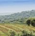 Route des vins en Alentejo au Portugal
