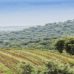 Route des vins en Alentejo au Portugal