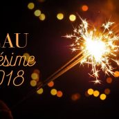 Bonne année à nos partenaires vignerons