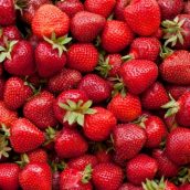 Accord mets/vins : Que boire avec… des fraises ?