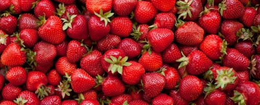 Accord mets/vins : Que boire avec… des fraises ?