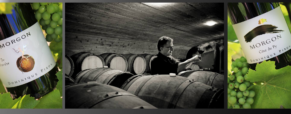 Dégustation Beaujolais, domaine Dominique Piron