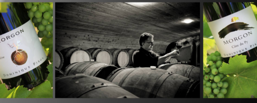 Dégustation Beaujolais, domaine Dominique Piron