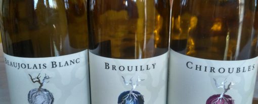 Commentaires dégustation Beaujolais, domaine Dominique Piron