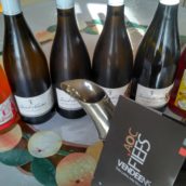 Commentaires de dégustation Domaine Saint Nicolas, Fiefs Vendéen