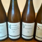 Degustations vins du Maconnais et Jura