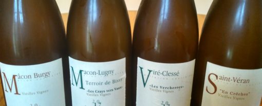 Degustations vins du Maconnais et Jura