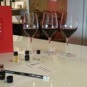 Cours d’oenologie le 25 janvier