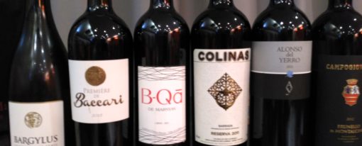Dégustation vins étrangers pourtour Méditerranéen