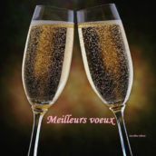 Vœux 2021