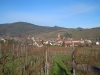 ALSACE 2013 030