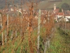 ALSACE 2013 032