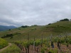 IMG_20230520_113157