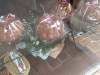 IMG_20230520_115420