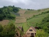 IMG_20230520_120038