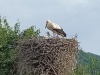 IMG_20230521_181419