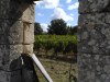 IMG_06092020_113643