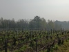 IMG_20220331_102820-1