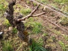 IMG_20220331_104332