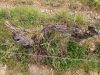 IMG_20220331_105425
