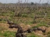IMG_20220331_105947
