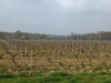 IMG_20220331_112159