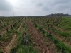 IMG_20220331_112351