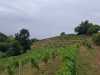 WhatsApp-Image-2025-09-01-a-19.45.50_0106b015