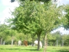 DSCN4485