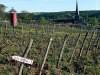IMG_20260425_162839